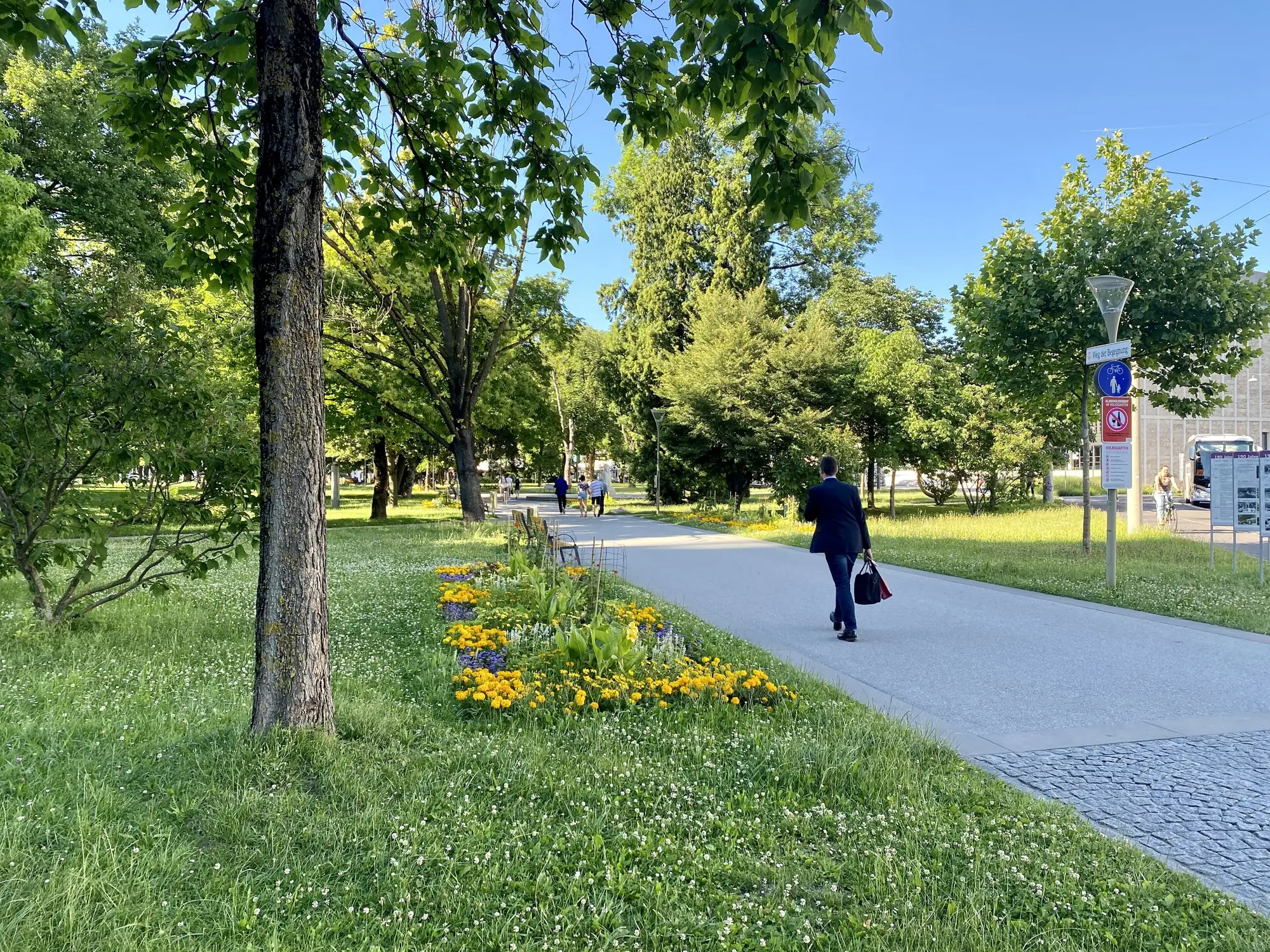 Sommerlicher Spazierweg mit Blumenbeet und Bäumen im Linzer Volksgarten